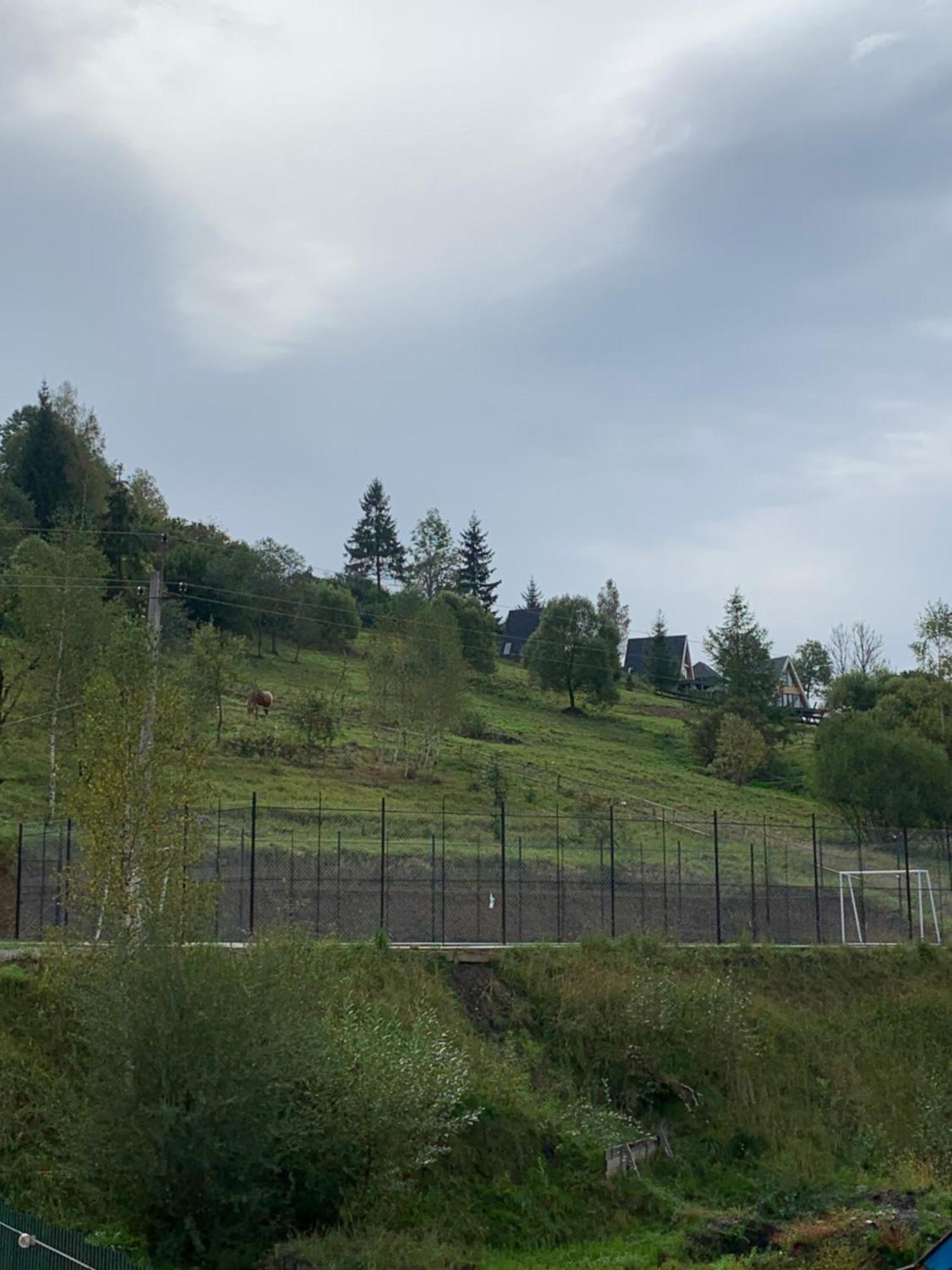Villa Аура Карпат Slavske Esterno foto